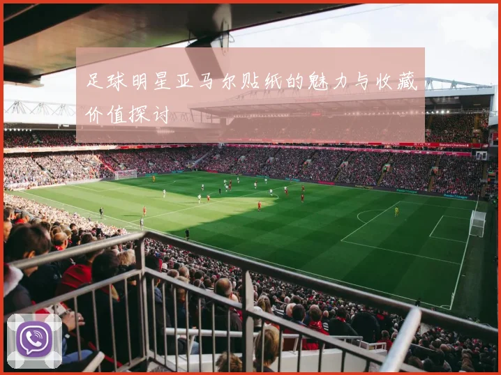 足球明星亚马尔贴纸的魅力与收藏价值探讨